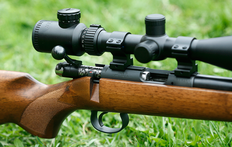 Engraved Rifles
